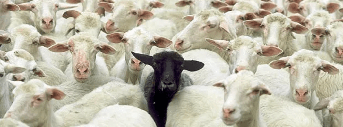 Black sheep amongst white ones