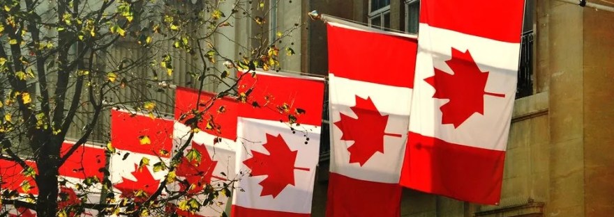 Series of Canadian flags on poles along a building facade