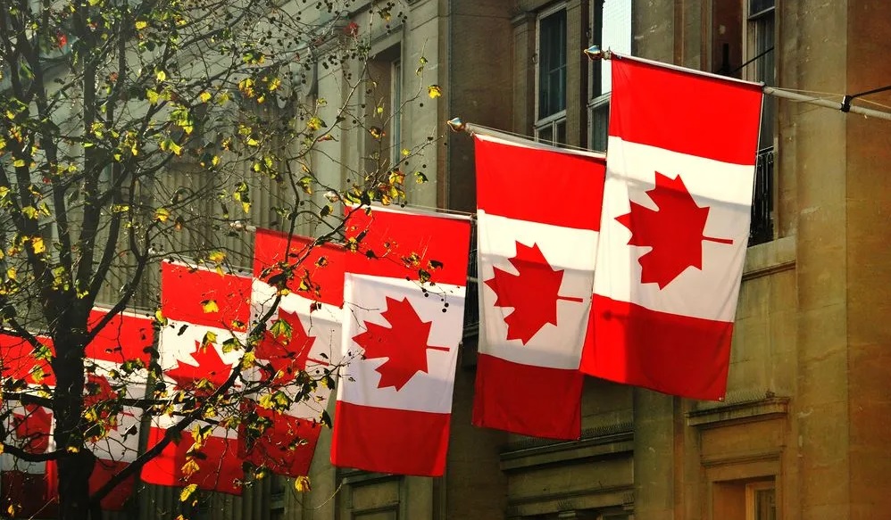 Series of Canadian flags on poles along a building facade